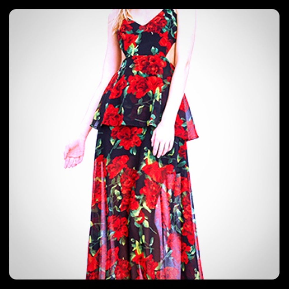 Just arrived ! Gorgeous Gown